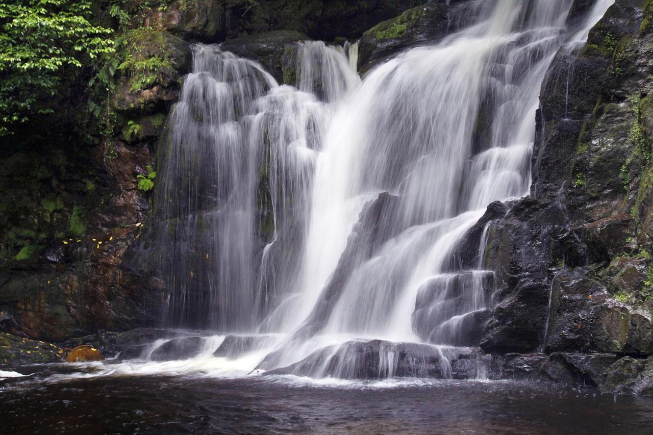 The Killarney Park Hotel Bagian luar foto